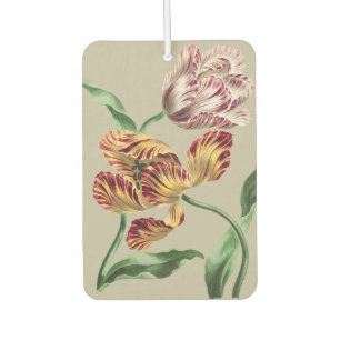 Vintage Chic Botanische Tulpenkunst aus dem 18. Ja Autolufterfrischer