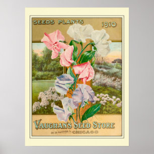 Vintage-Chicago-Gärtnerei-Blumensamen-Katalog Poster