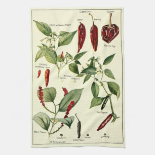 Vintage-Chili-Pfeffer-Botanische-Illustrationen Geschirrtuch