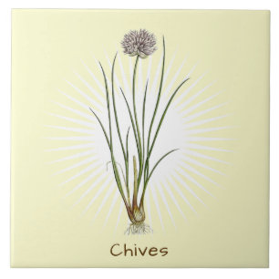 Vintage Chives Herb Botanische Keramik Fliese