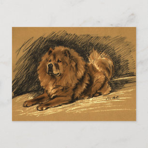 Vintage Chow-Hund Postkarte