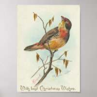Vintage Christmas Bird