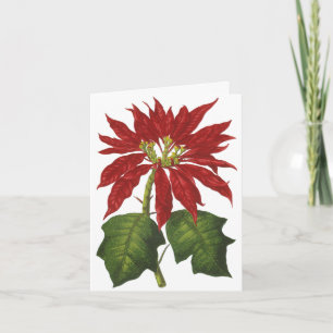 Vintage Christmas Danke