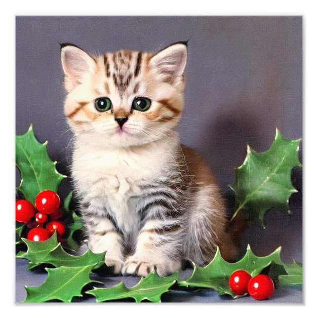 Vintage Christmas Kitten und Holly Fotodruck (Vorne)