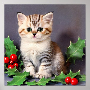 Vintage Christmas Kitten und Holly Poster