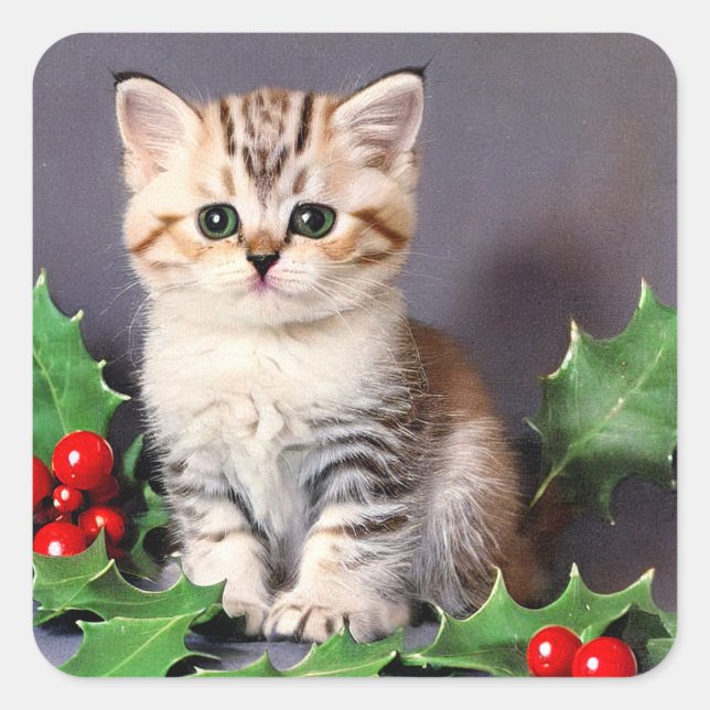 Vintage Christmas Kitten und Holly Quadratischer Aufkleber (Vorderseite)