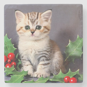 Vintage Christmas Kitten und Holly Steinuntersetzer