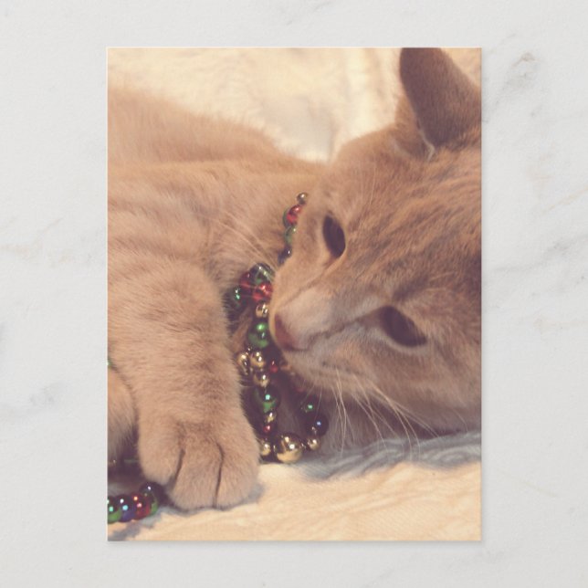 Vintage Christmas Kitty Feiertagspostkarte (Vorderseite)