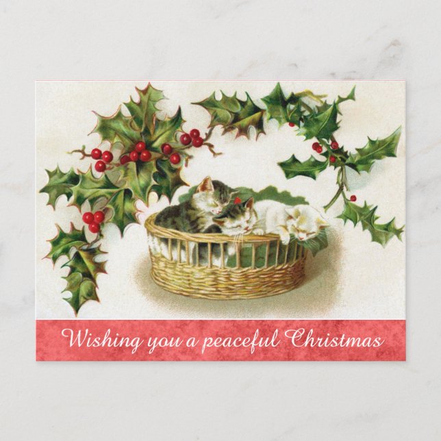 Vintage Christmas Niedlich Kitten Cat Postkarte (Vorderseite)