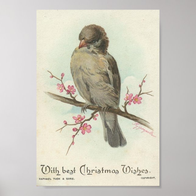 Vintage Christmas Sparrow Poster (Vorne)