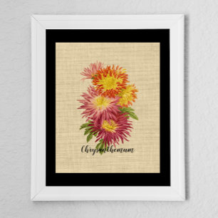 Vintage Chrysanthemen-Botanik Poster