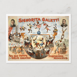 Vintage Circus Galetti und Darstellende Affen Postkarte