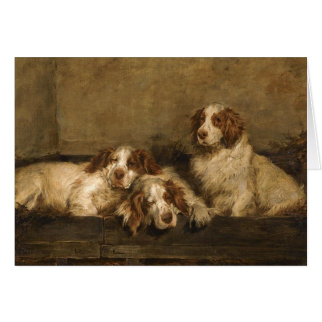 Vintage - Clumber Spaniel Hunde, (Vorderseite (Horizontal))