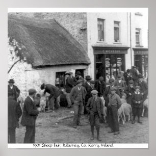 Vintage Co. Kerry Irland, Killarney Schafsmesse Poster