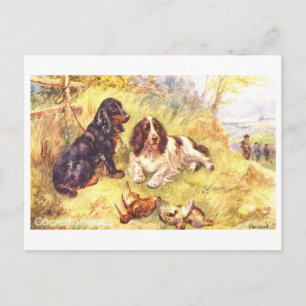 Vintage Cocker Spaniels Postkarte