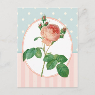 Vintage Collage Pink Rose Botanische Schrift Postkarte