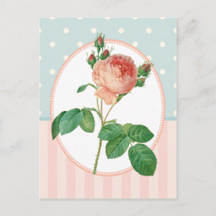 Vintage Collage Rosa Pink Botanischer Druck Postkarte