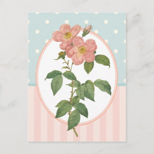 Vintage-Collage rosa Rosen Botanischer Druck Postkarte