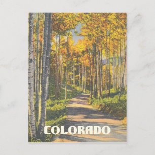 Vintage-Colorado-Eschenbäume Postkarte