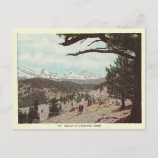 Vintage Colorado Postkarte