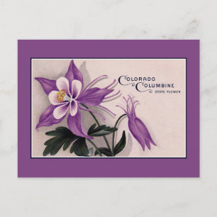 Vintage Colorado Staatsblume, Columbine Postkarte