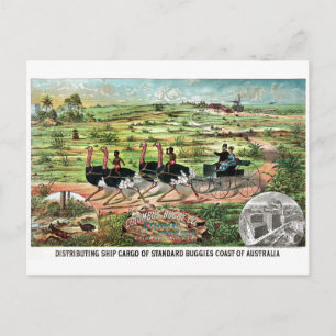 Vintage Columbus Buggy Company Australischer Strau Postkarte