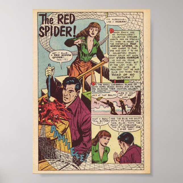 Vintage-Comic Poster (Vorne)