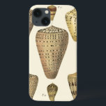 Vintage Cone Shells Case-Mate iPhone Hülle<br><div class="desc">Artist Denis Diderot is talented and known for his great sea life images. In this vivid image, he fängt these crackled cone Conch seashells in their most natural style. Conches are are ockled like these four seashells and in a sepia looking tone. Get your seashell product today and you can...</div>