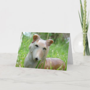Vintage Corgi Karte