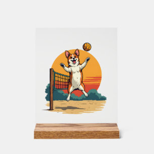 Vintage Corgi Volleyball Retro Sonnenuntergang Vek Acrylschild