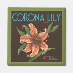 Vintage Corona Lily Marken Magnet