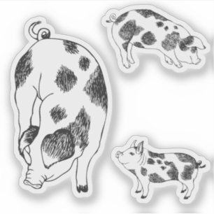 Vintage Cottagecore-Schwein LineArt Minimalist Mus Aufkleber