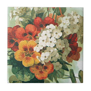 Vintage-Cover des Eastman-Samenkatalogs, 1897 Fliese