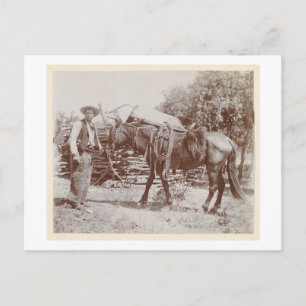Vintage Cowboy 1900 Postkarte