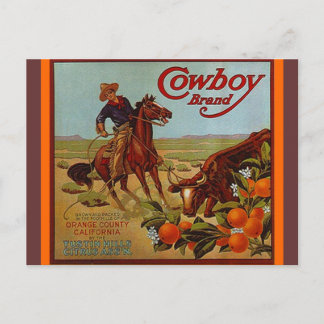 Vintage Cowboy Brand Fruit Steer Rindvieh Postkart Postkarte