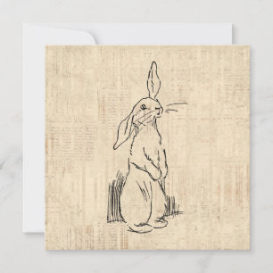 Vintage Cute Bunny Rabbit Art Script Background Karte