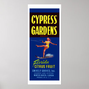 Vintage Cypress Gardens Florida Citrus Fruchtposte Poster