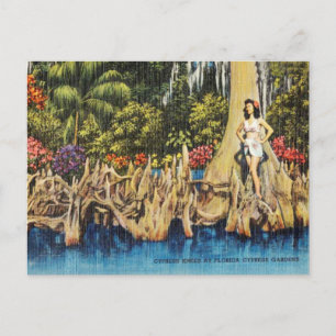 Vintage Cypress-Knie in Florida Cypress Gardens Postkarte