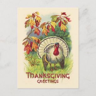 Vintage-D Thanksgiving-Karte Truthahn Feiertagspostkarte