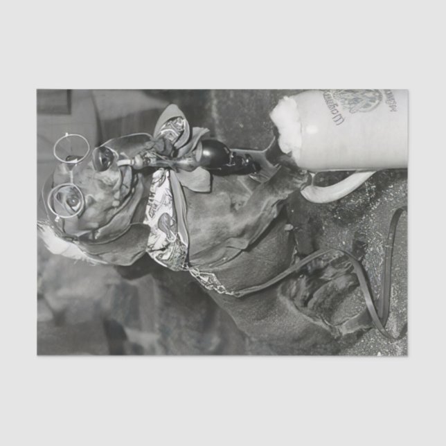 Vintage Dackel Hund mit Rohr und Bier Seidenpapier (Vorderseite)