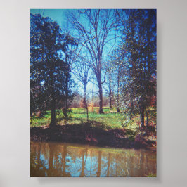 Vintage Daffodil Lake Fotografie Poster