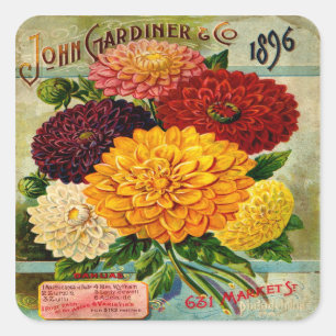 Vintage Dahlia-Blume Quadratischer Aufkleber