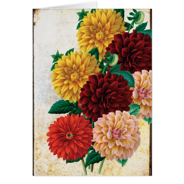 Vintage Dahlien (Vorne)