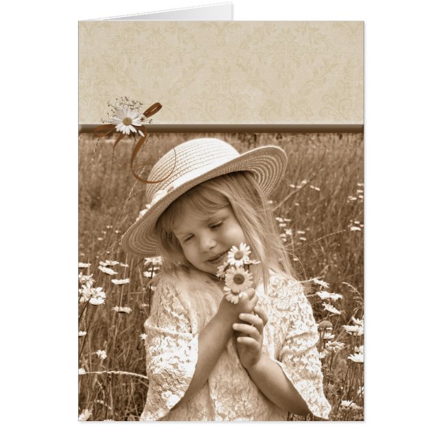 Vintage Daisies (Vorne)