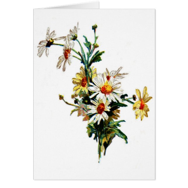 *Vintage Daisy* Blumen-Kunst (Vorne)