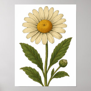Vintage-Daisy-Plakat Poster