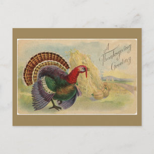 Vintage-Dankesgreetings Truthahn Postkarte