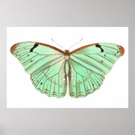 Vintage Darstellung der handgezeichneten Lärtensch Poster