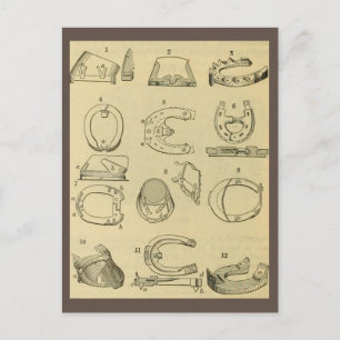 Vintage Darstellung der Hufarten Postkarte