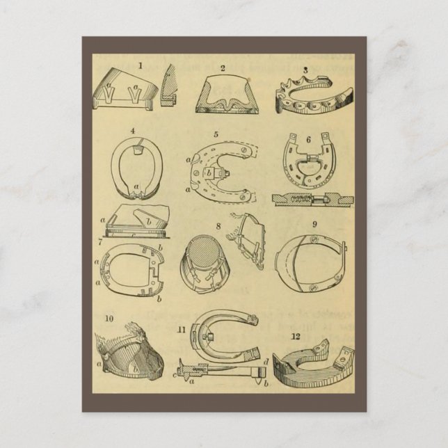 Vintage Darstellung der Hufarten Postkarte (Vorderseite)